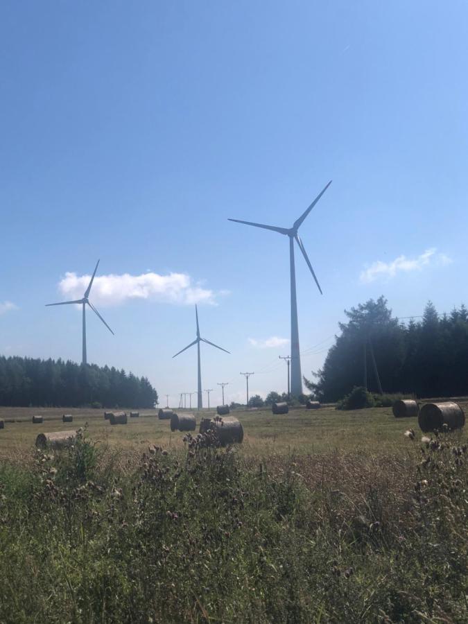Ubytování Háj Sokolov Exterior foto